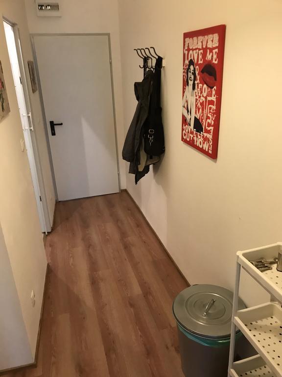 Lovely Flat Center * Viena